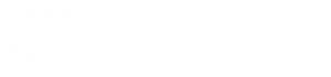 Magneton Inc